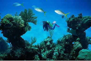 索尼将日本工作室从其工作室阵容列表中移除